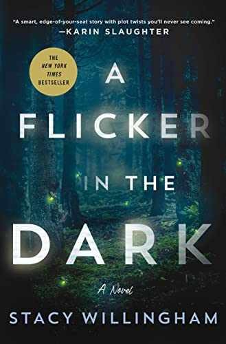 A Flicker in the Dark: A Novel – Hardcover, by Willingham Stacy – Very Good z