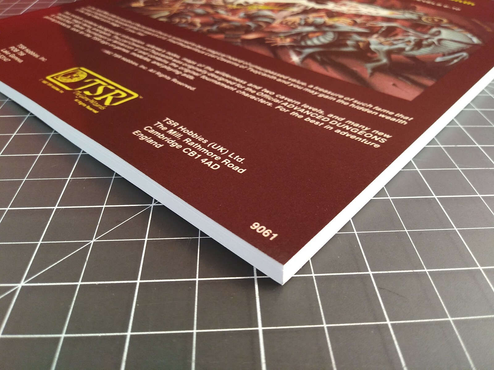 S4 The Lost Caverns of Tsojcanth – Dungeons & Dragons