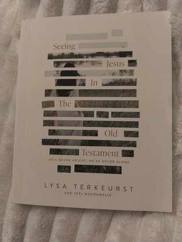 Seeing Jesus in the Old – Paperback, by Lysa Terkeurst; Joel – Very Good