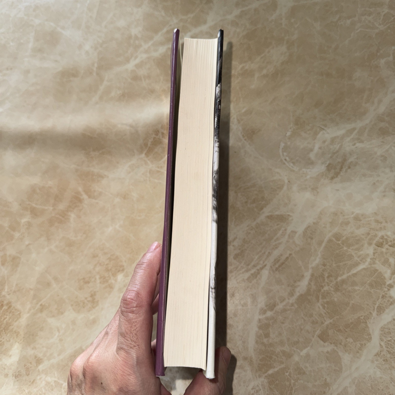 Wayward Lives, Beautiful Experiments : Intimate Histories of Social Upheaval