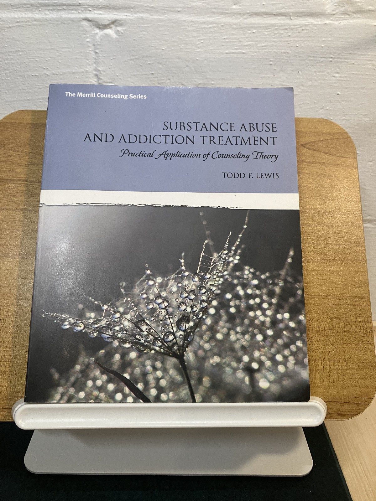SUBSTANCE ABUSE AND ADDICTION TREATMENT Todd F. Lewis