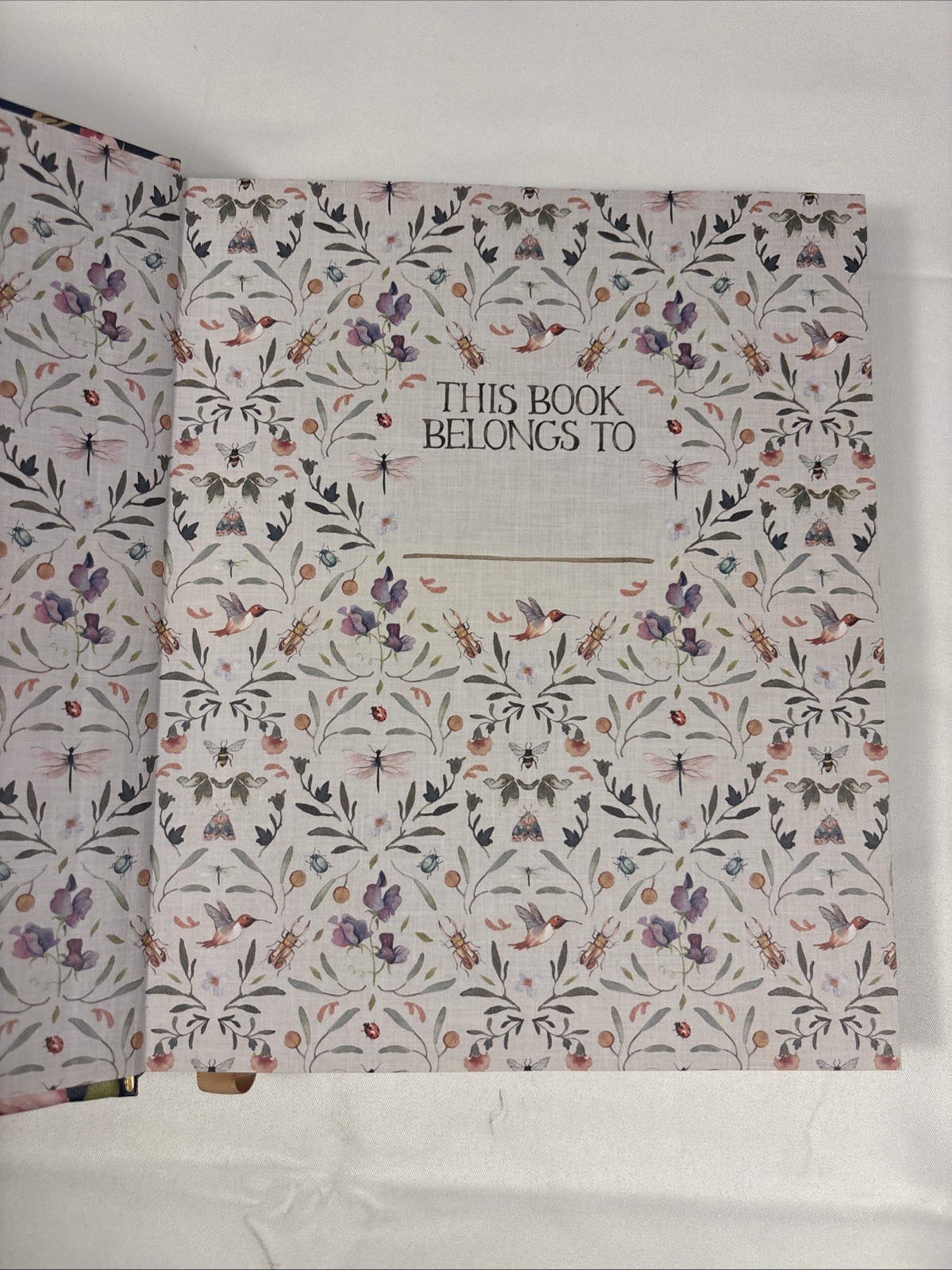 Beholding and Becoming Ruth Chou Simons Hardcover Illustrated Harvest House 2019