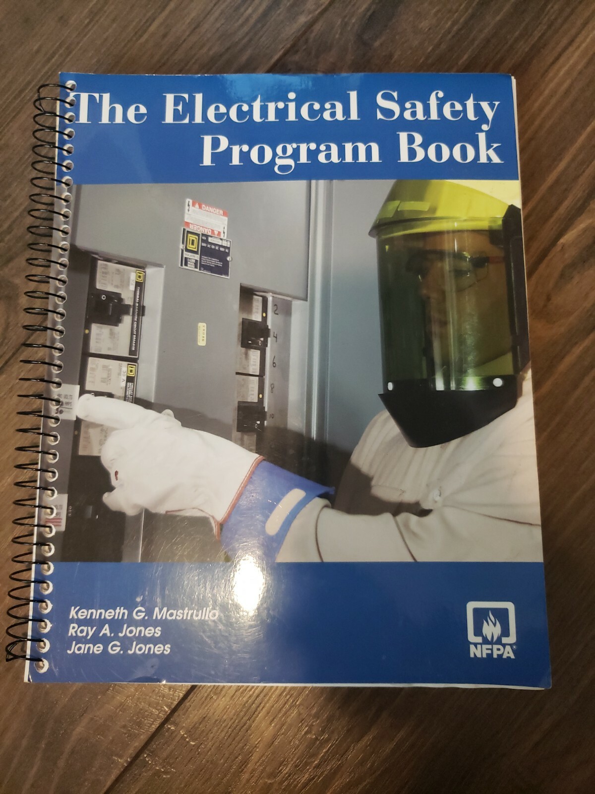 ELECTRICAL SAFETY PROGRAM BOOK By Ray A. Jones complete with disk