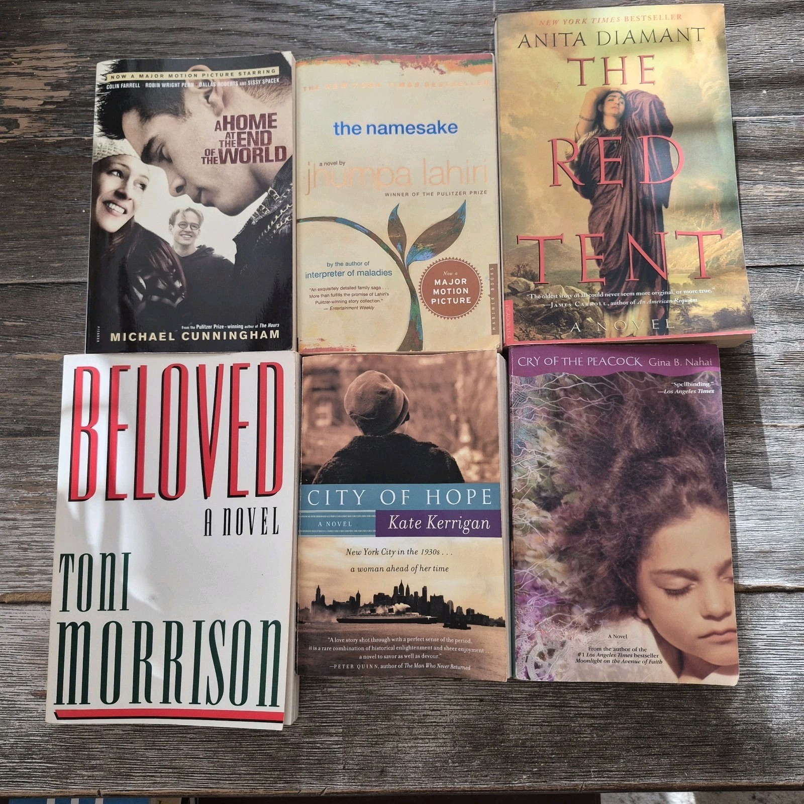 Toni Morrison Beloved, Red Tent, Namesake + More Fiction Book Lot (6 Books)