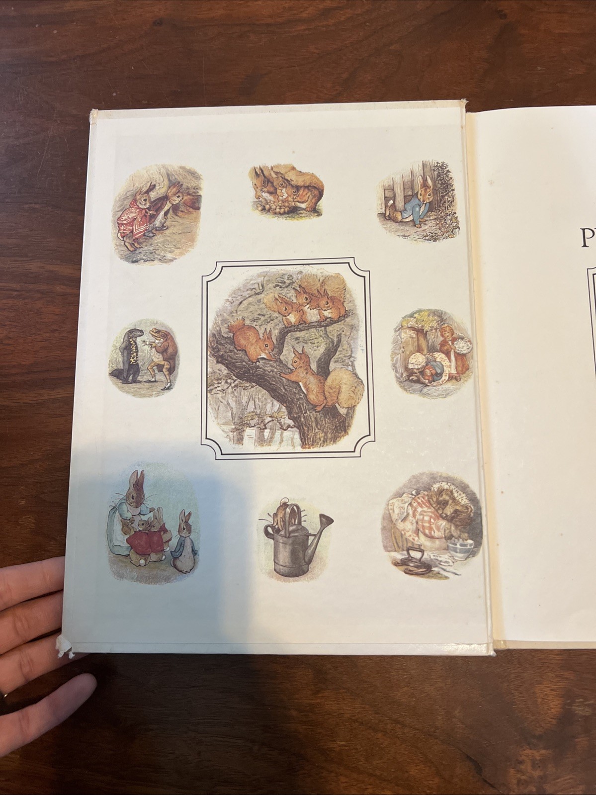 Giant Treasury of Peter Rabbit HC Illustrated Beatrix Potter Peter Rabbit 1980