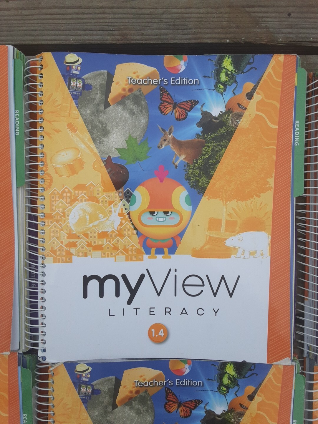 SAVVAS My View Literacy Gr 1-Set of 5 Teacher’s Ed 1.1,1.2,1.3, 1.4, 1.5 & more.