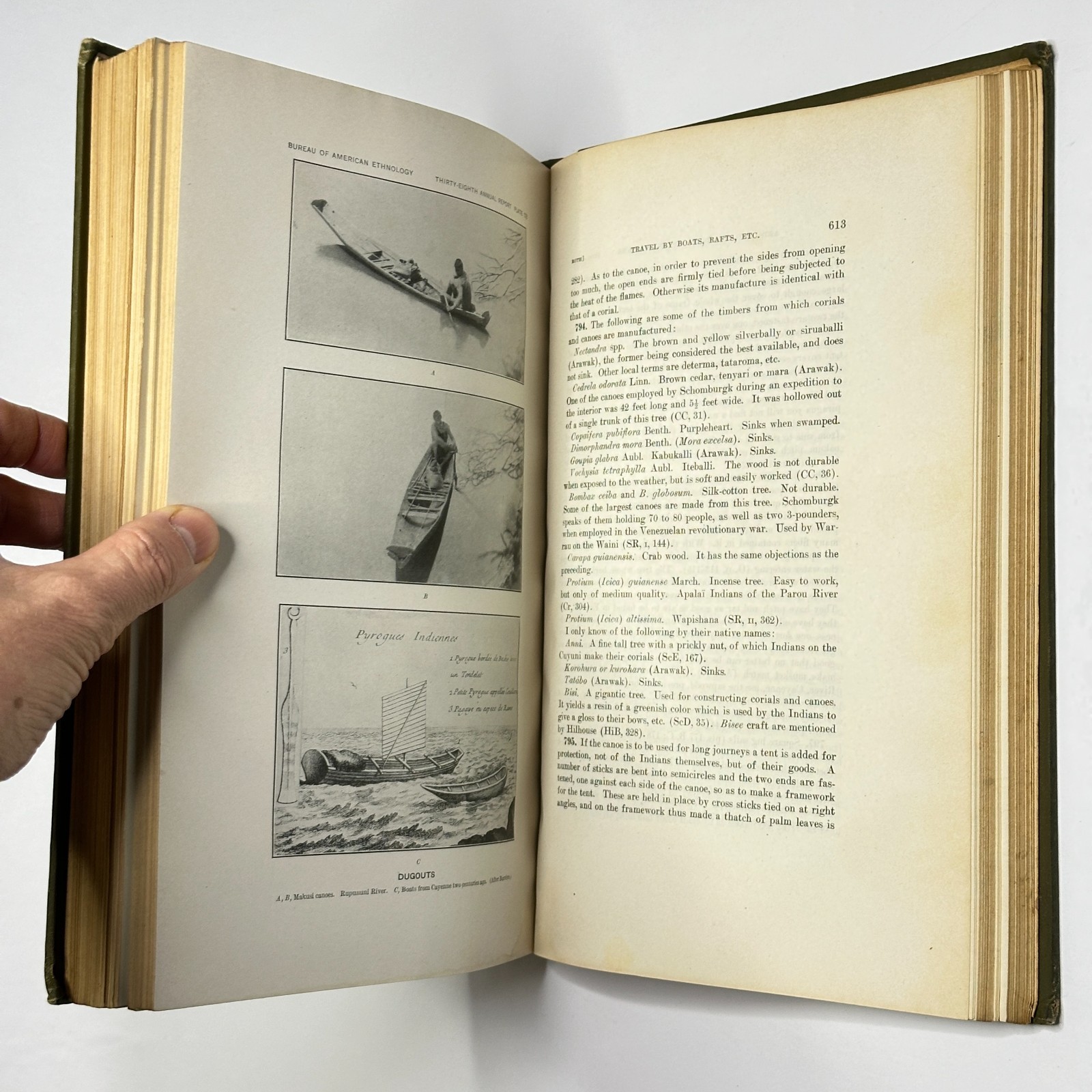 „Report of the Bureau of American Ethnology, 1916-1917“ (Guiana Indian Crafts)