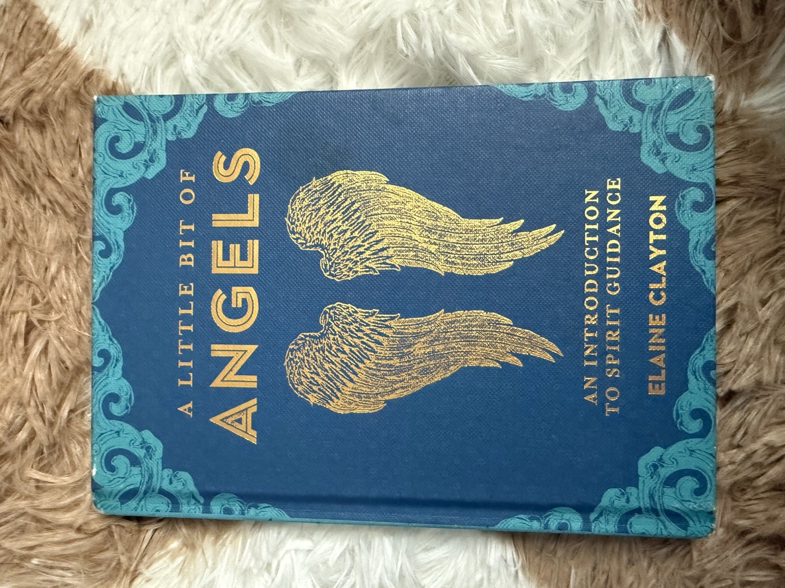 A Little Bit of Angels by Elaine Clayton Hardcover Sterling Ethos 2018 Angels