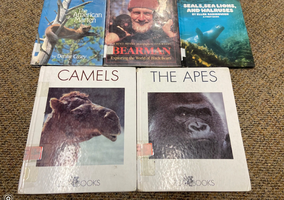 Lot of 12 Vintage 60s 70s 80s Children’s Non-Fiction Animal Hardcover Books RARE