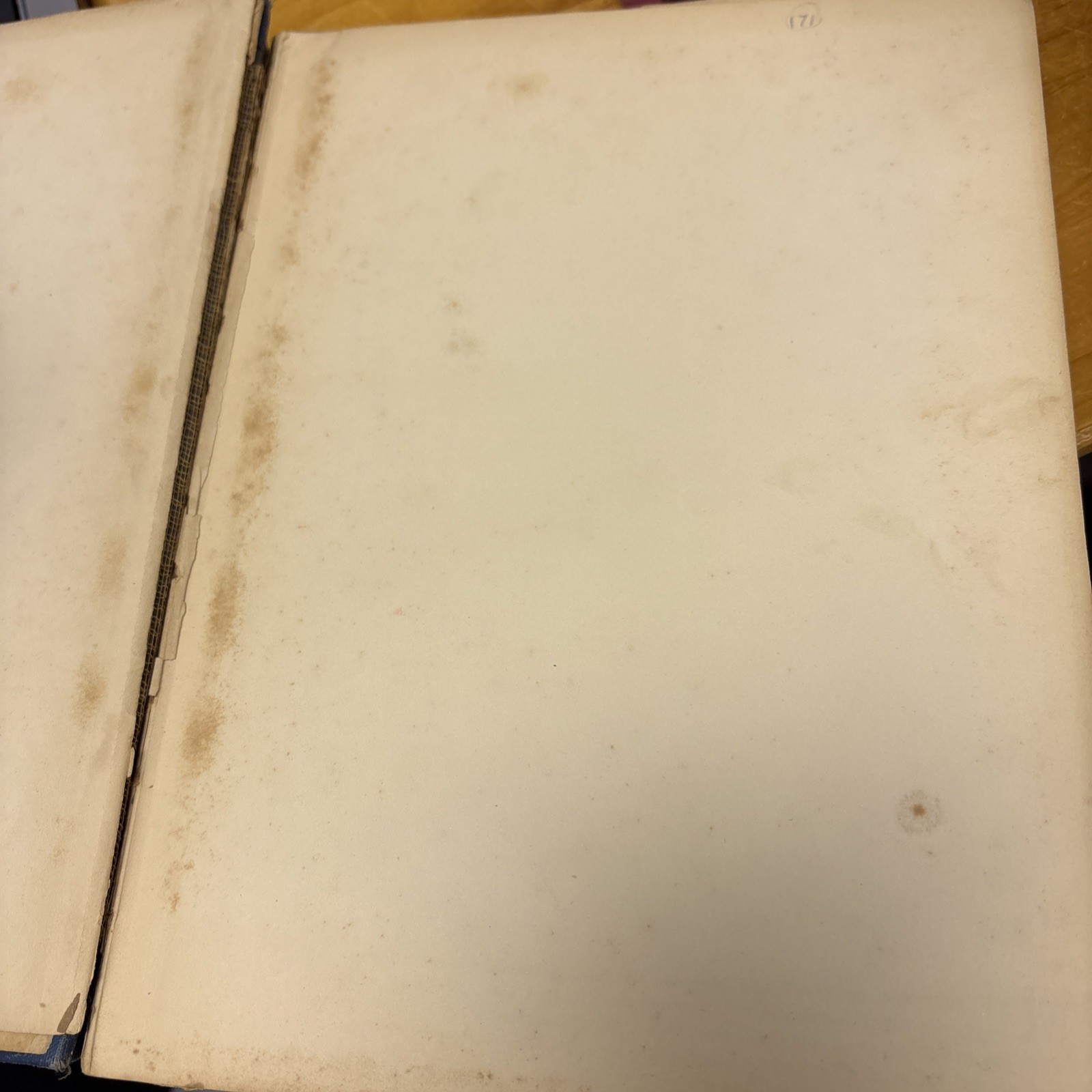 Poor Cecco – Margery Williams Bianco / Arthur Rackham 1925 Original HC