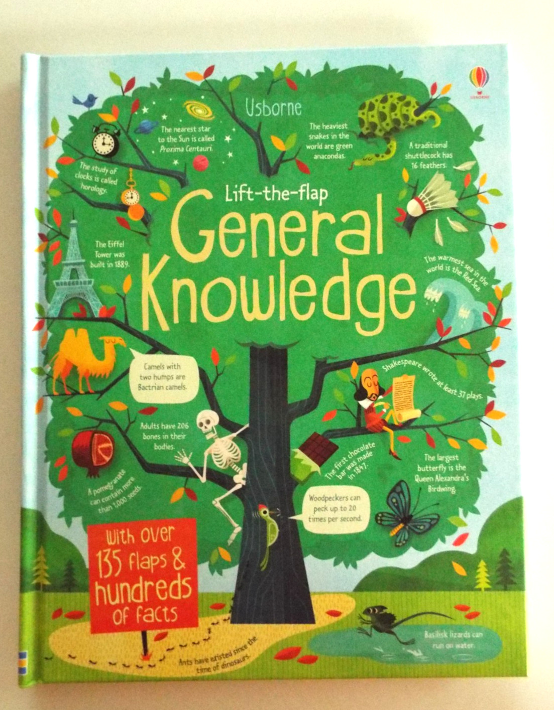 Usborne-Lift-the-Flap General Knowledge (See Inside) by James Maclaine HC LN
