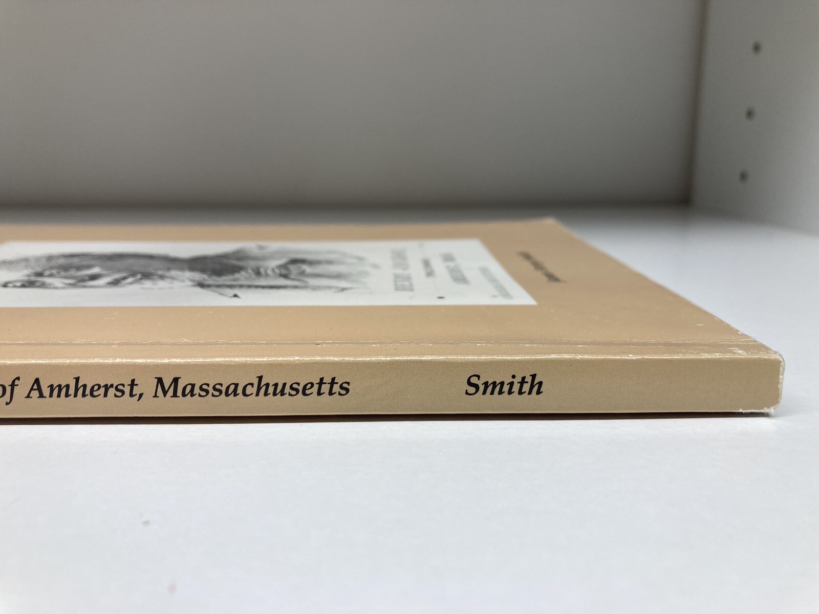 The History of the Black Population of Amherst, Massachusetts 1728-1870