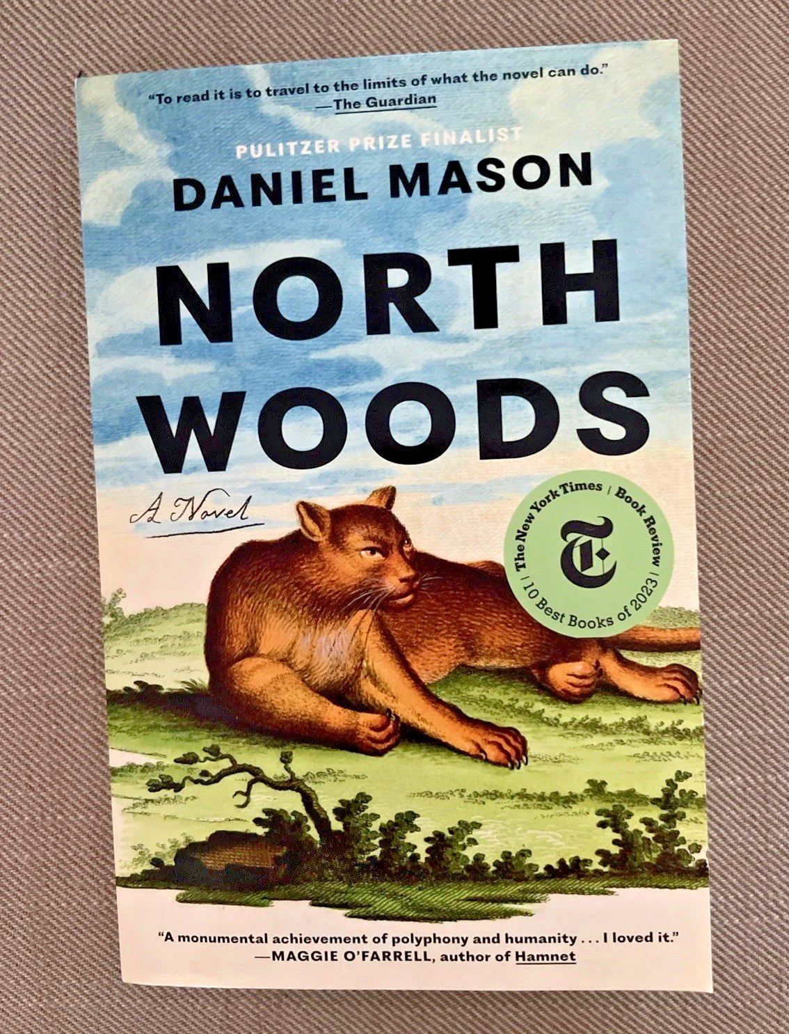 North Woods : A Novel by Daniel Mason (2024, Trade Paperback)