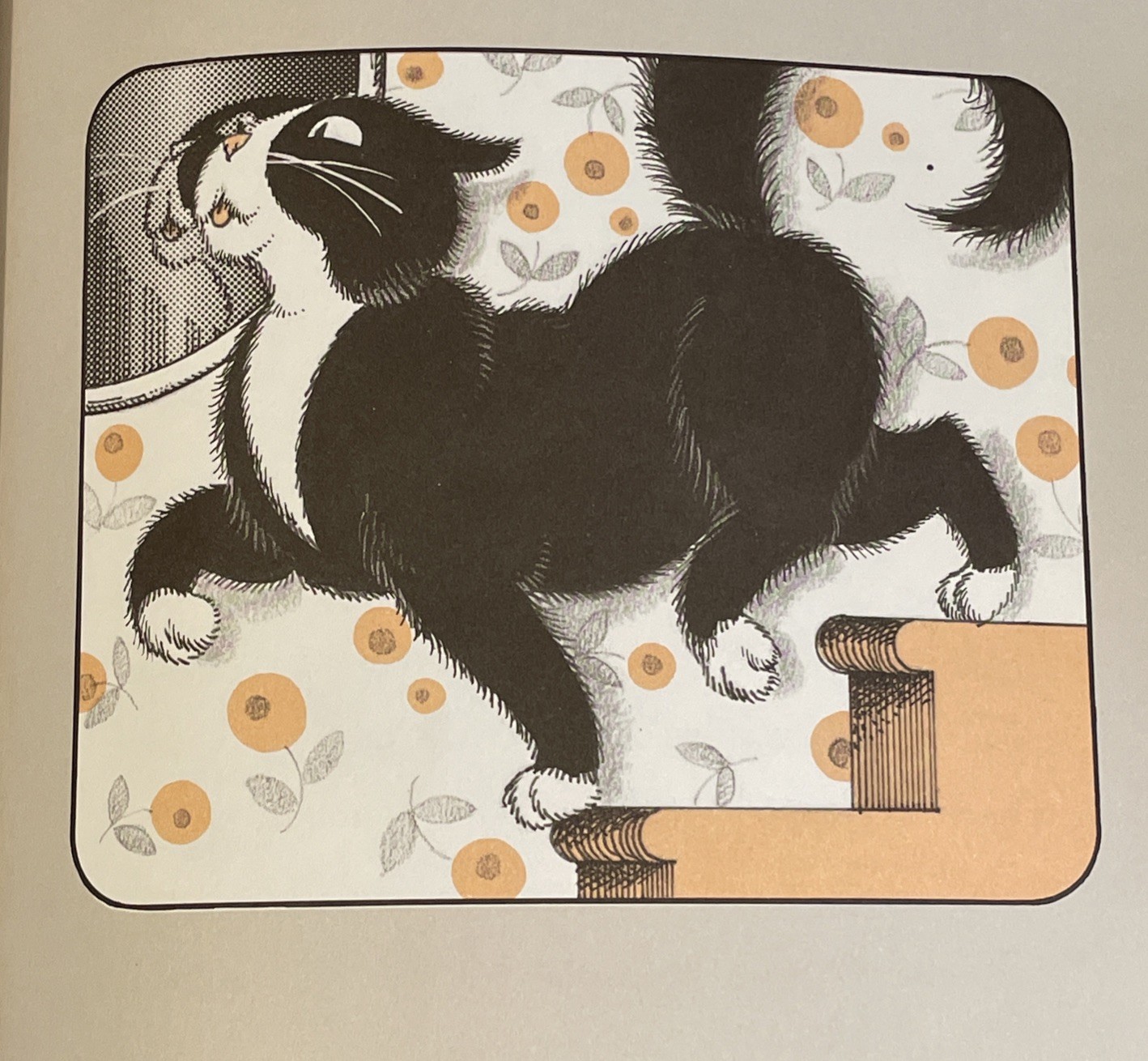 Pettifur Cat Story by Jay Williams Fully Illustrated by Hilary Knight HCDJ First