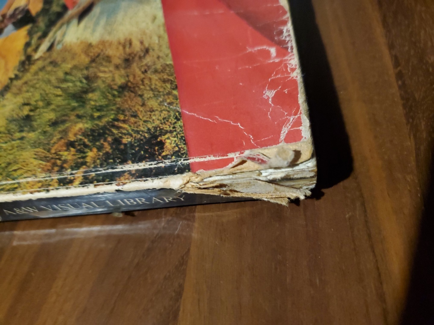 ALBUM COVER ALBUM Book Hipgnosis Roger Dean 70s Rock Record Art