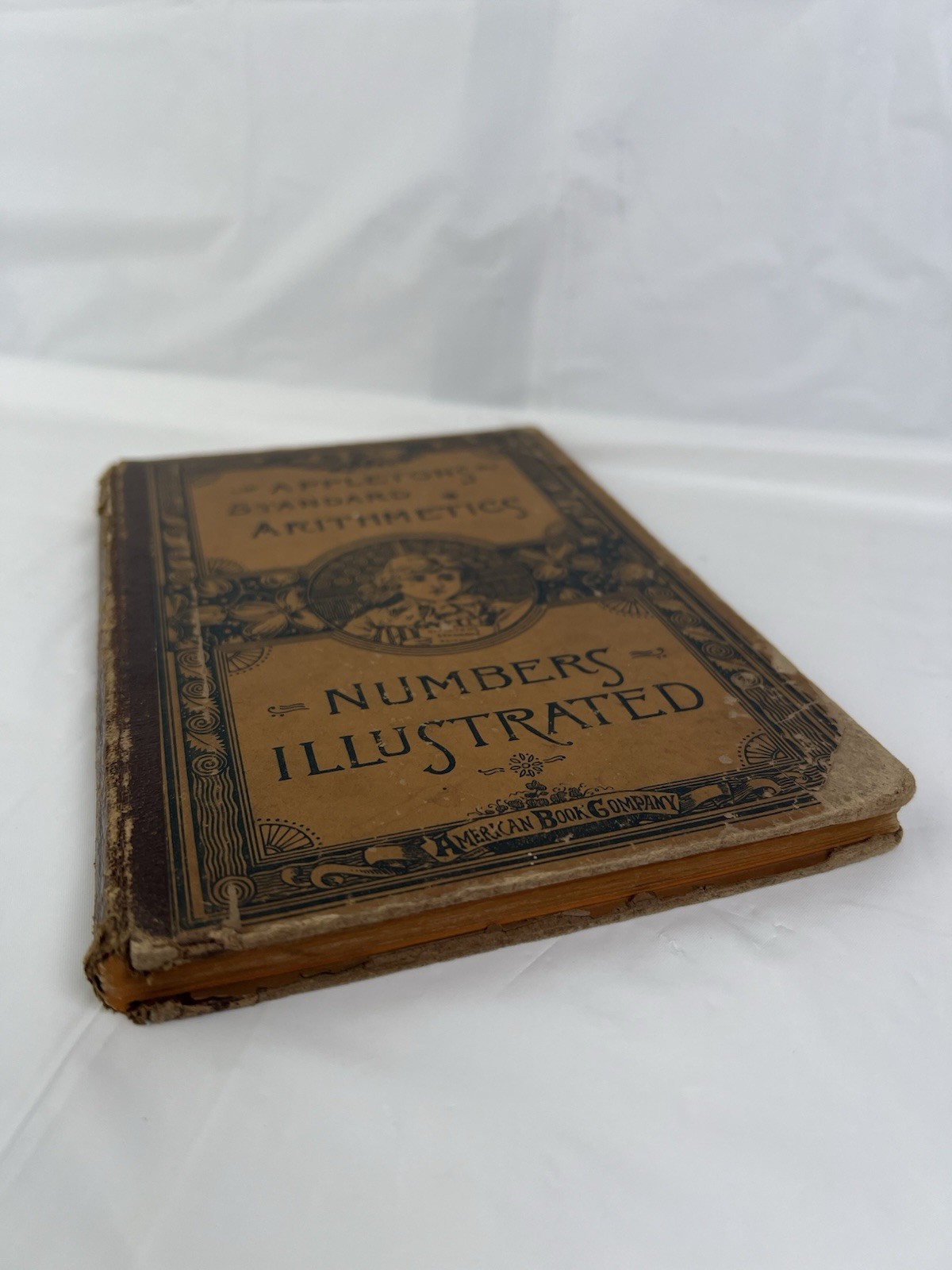 Antique 1886 School Book Appleton’s Standard Arithmetics by Andrew J. Rickoff HC
