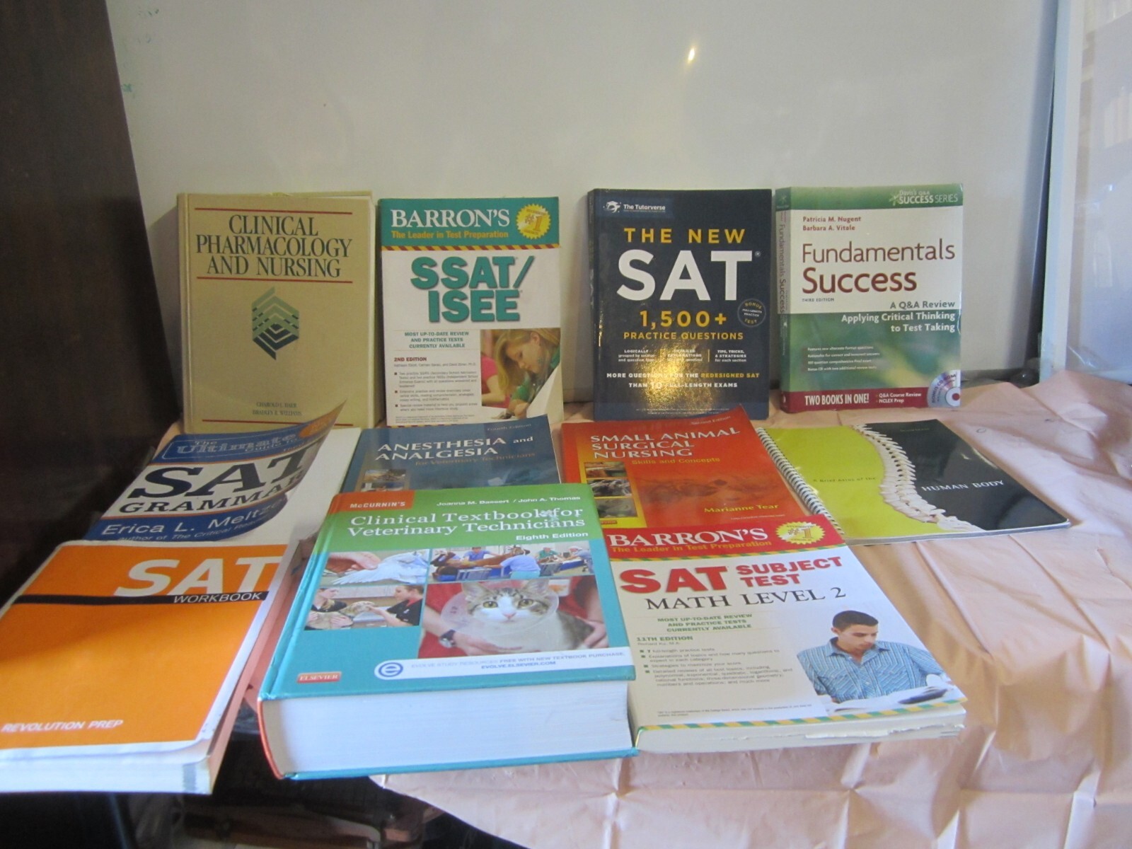 NURSING SCHOOL BUNDLE – ALL BOOKS ARE INCLUDED- 11 Books all kinds! great deal!