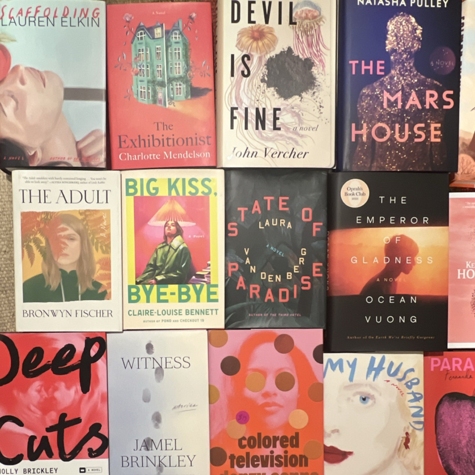 Random Mix, Lot of 10 Recent Fiction Releases Hardcovers