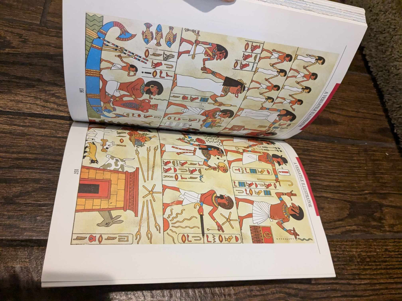 Tintin and the World of Herge Benoit Peeters Book Methuen 1989 Comic Art