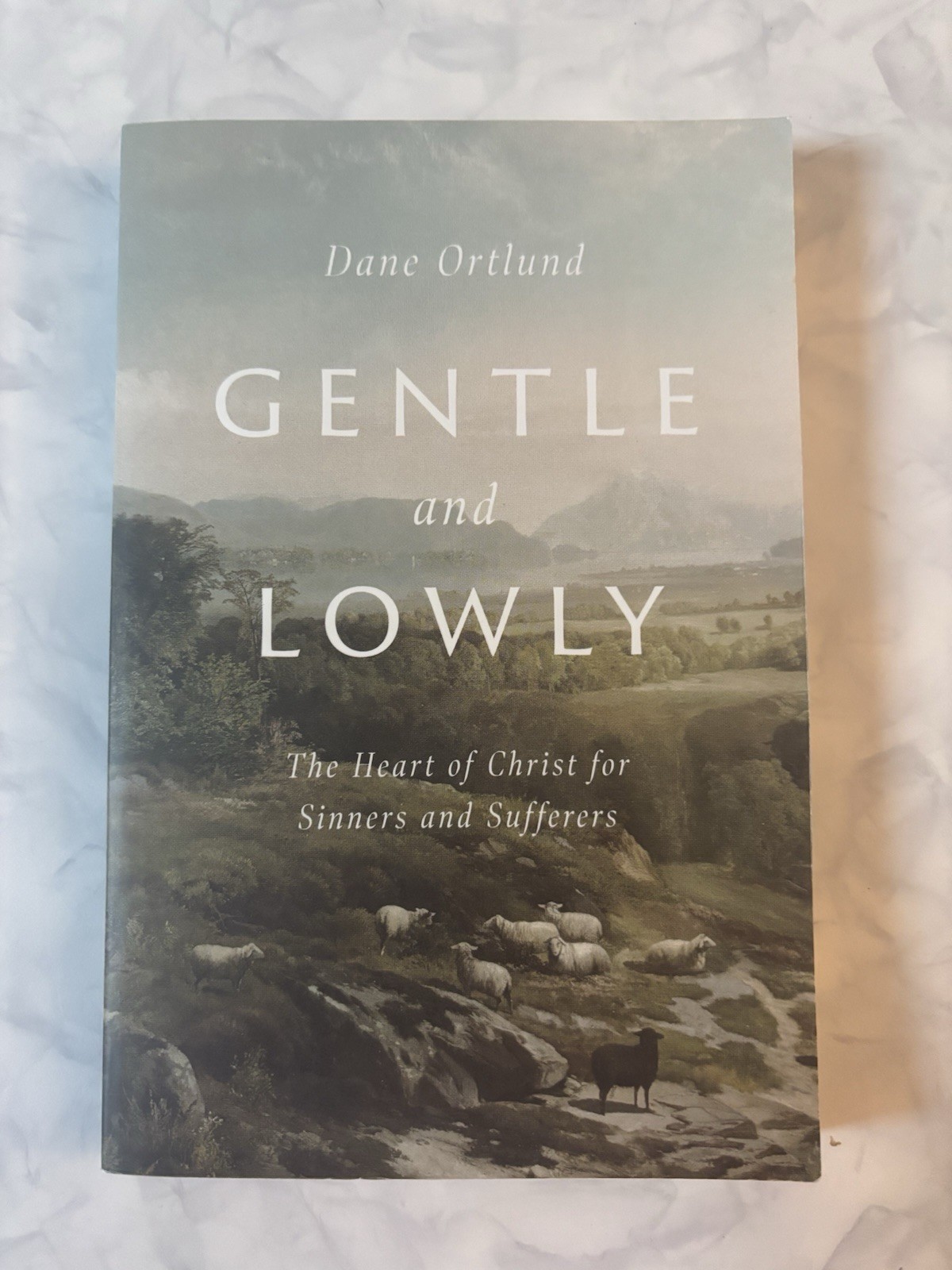 Gentle and Lowly by Dane Ortlund (Paperback Book)