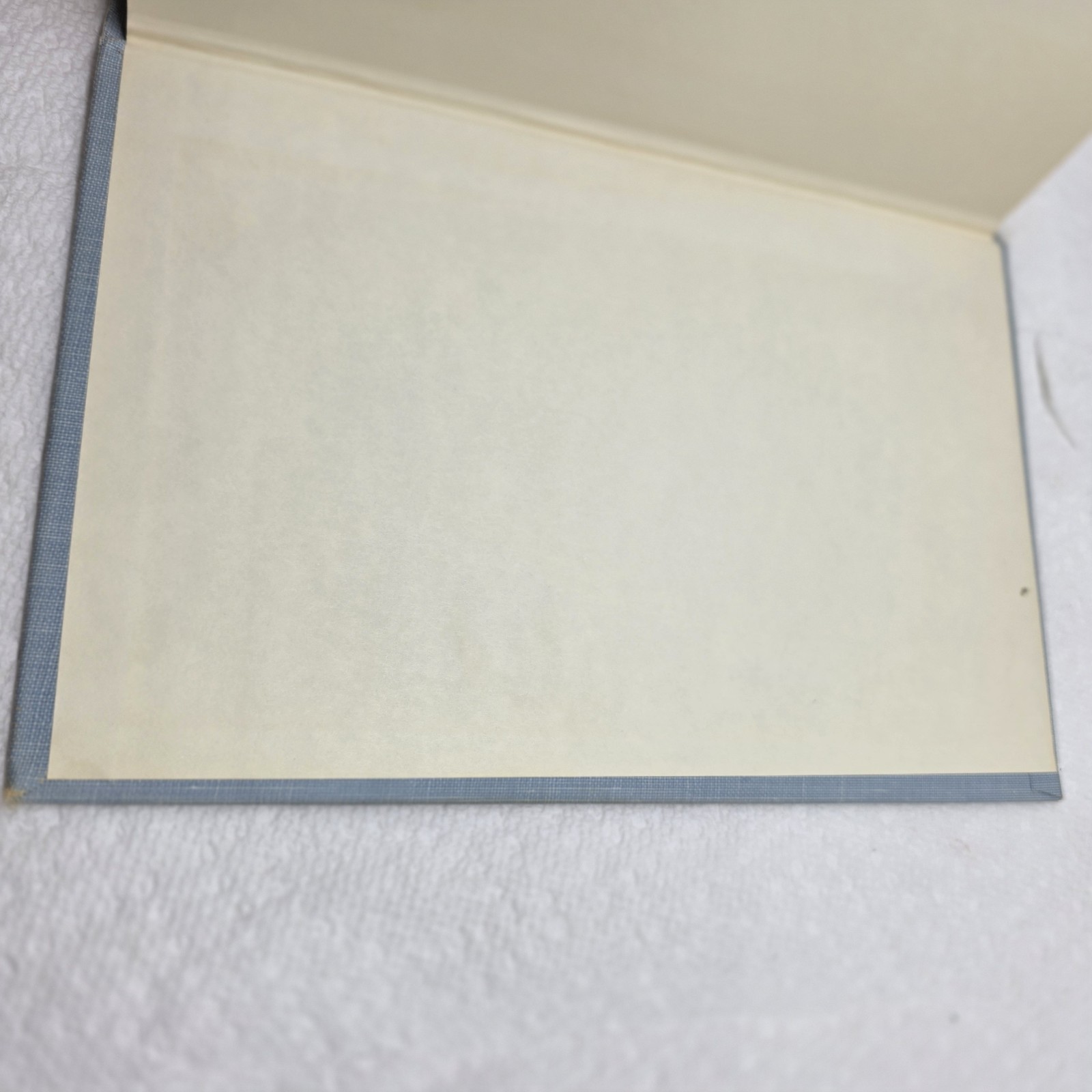 The Borrowers By Mary Norton 1953 Hardcover In Dust Jacket