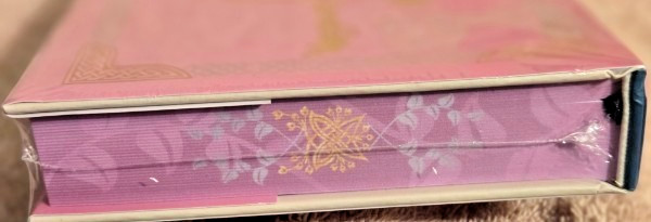 THE PRINCESS KNIGHT Cait Jacobs LitJoy Special Edition – SIGNED – Factory Sealed