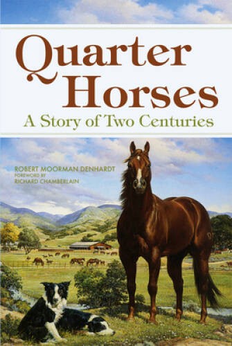 Quarter Horses: A Story of Two Centuries – Paperback – GOOD
