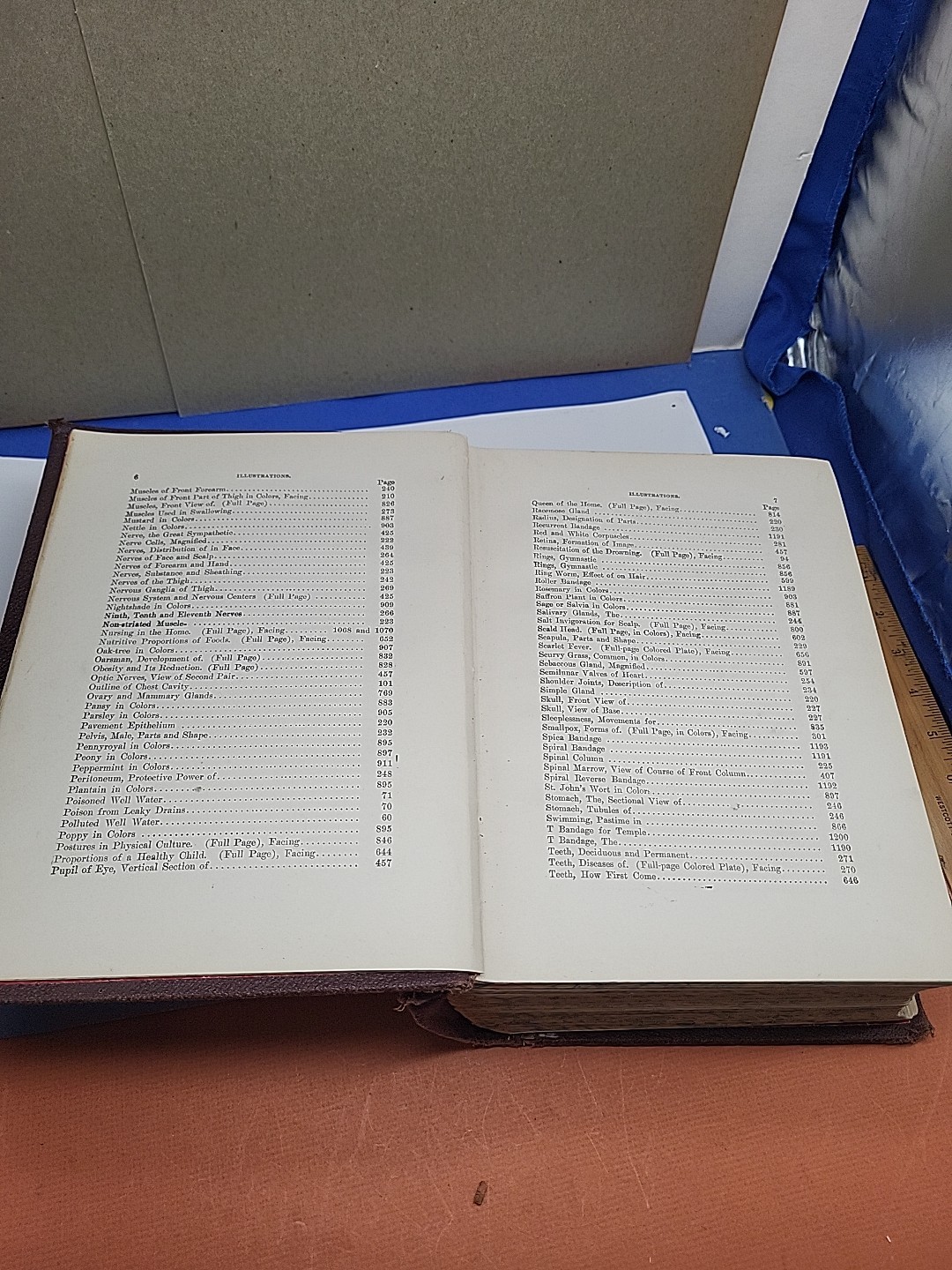 1914 Health and Longevity 15 Books In 1 Vol. Medical Body Illustrations Medicine