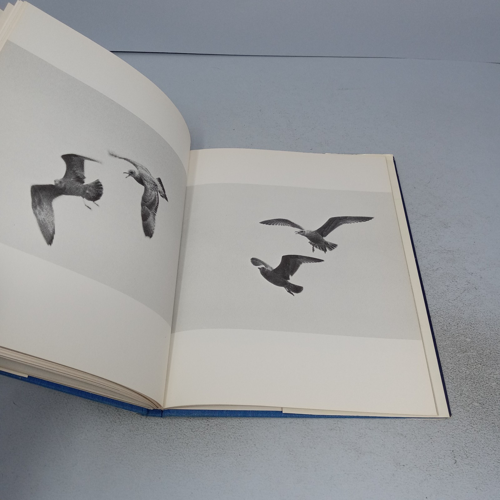 Jonathan Livingston Seagull 1970 The Macmillan Company Hardcover by Richard Bach