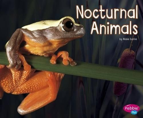 Abbie Dunne Life Science Nocturnal Animals (Paperback) (UK IMPORT)