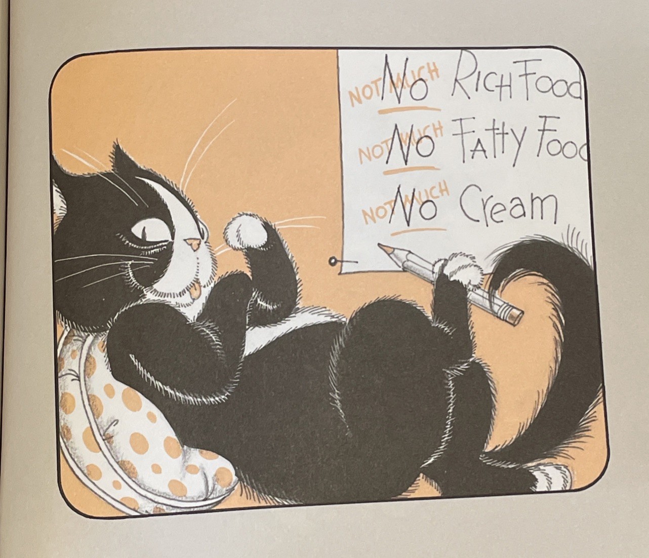 Pettifur Cat Story by Jay Williams Fully Illustrated by Hilary Knight HCDJ First