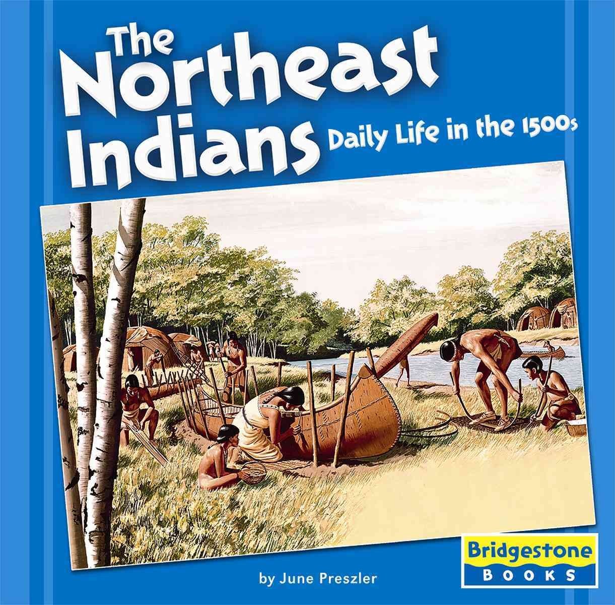 The Northeast Indians: Daily Life In The 1500s (Native American Life)