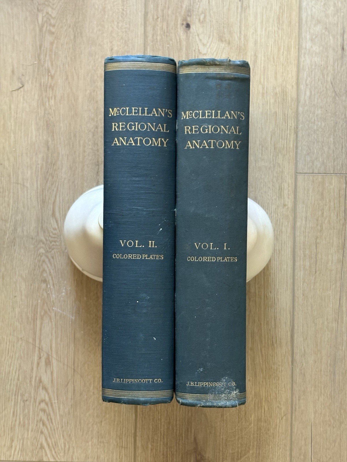 Volumes 1, 2 „Regional Anatomy“ by George McClellan 1890-1892 Medicine & Surgery