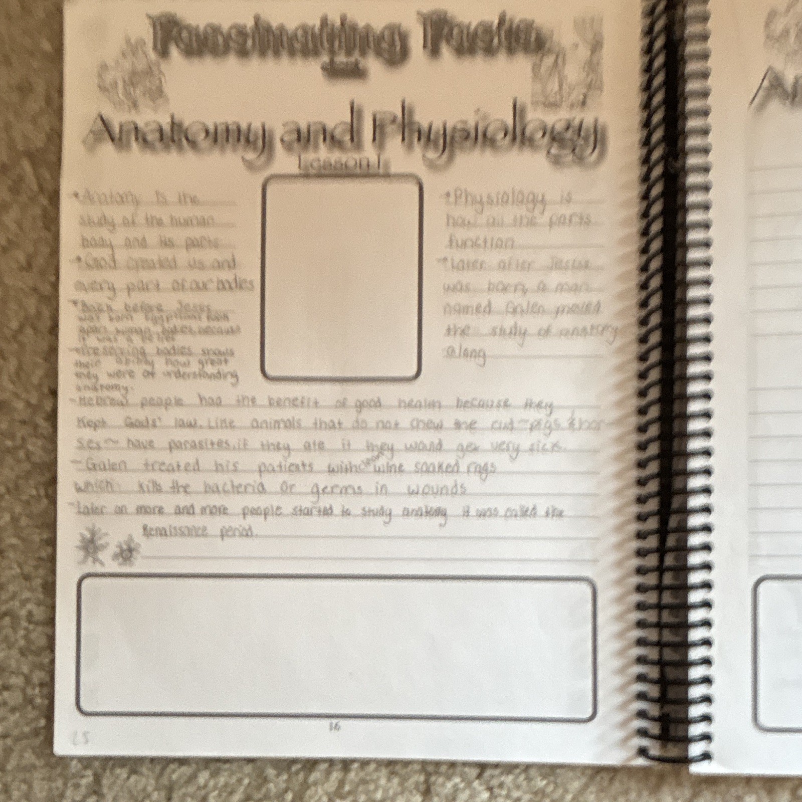 Apologia Science Exploring Creation Anatomy & Physiology Journal Spiral