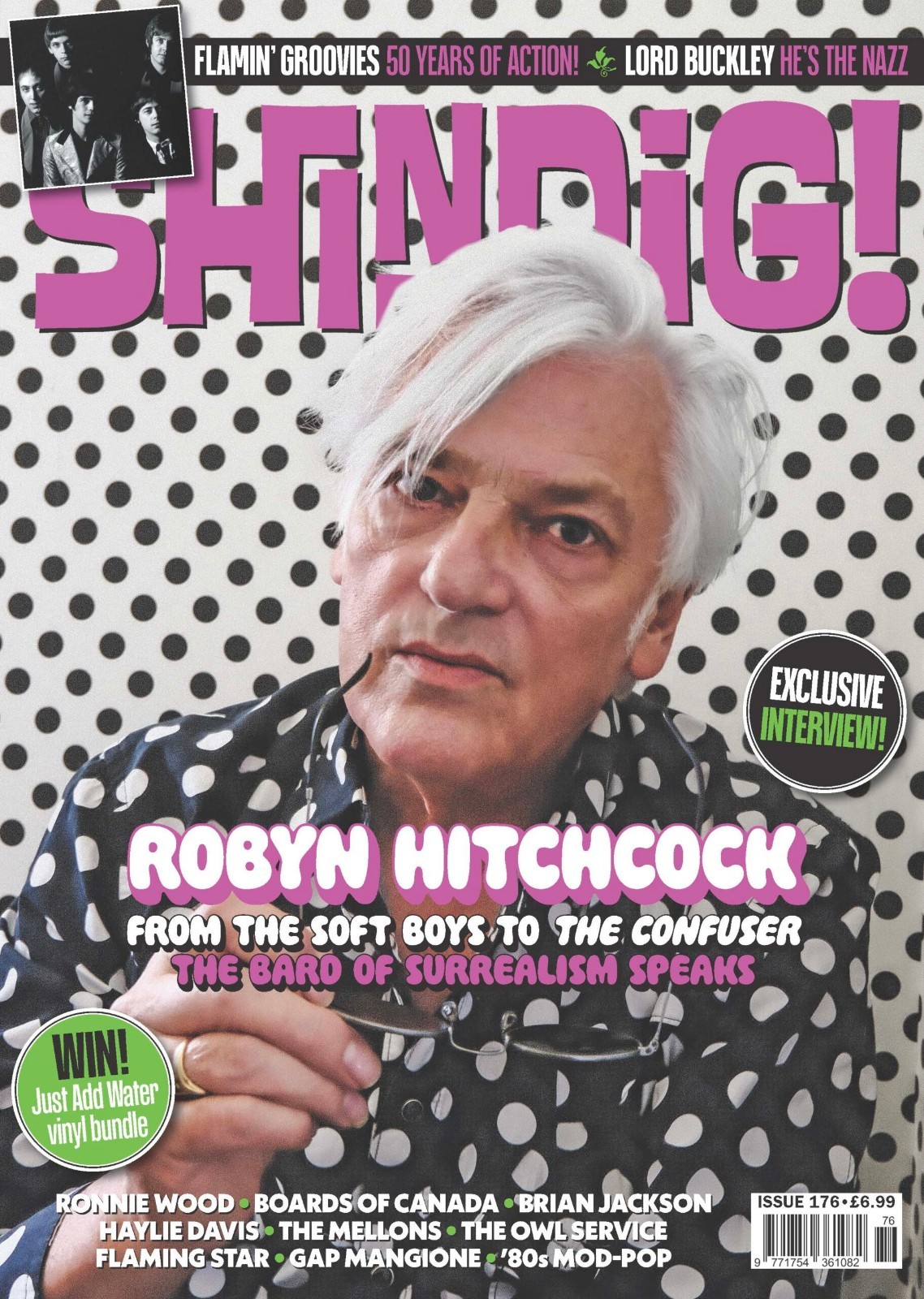 Shindig! Magazine Issue 176 (June 2026) Robyn Hitchcock