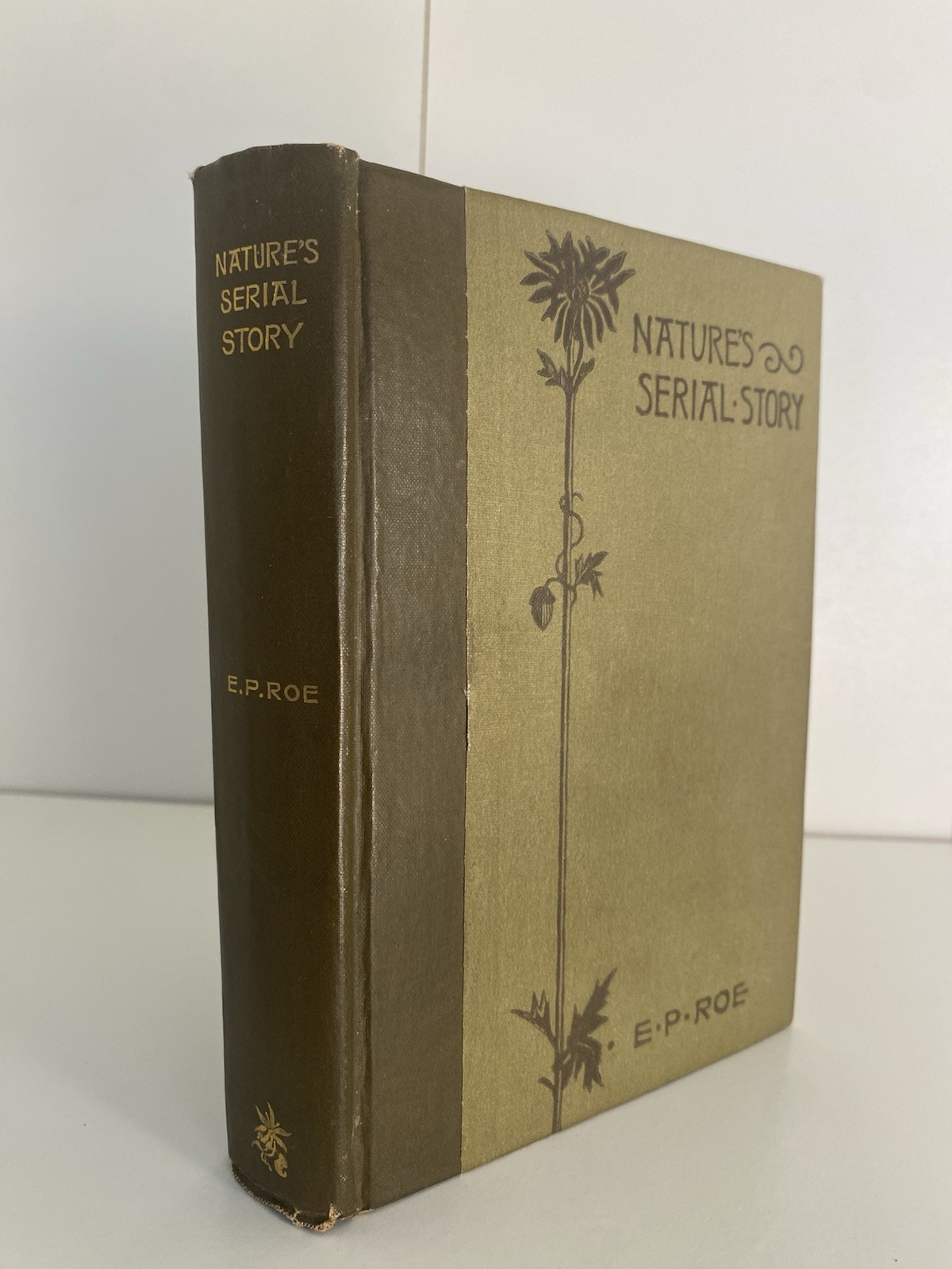 1884 E.P. Roe’s Nature’s Serial Story 1st Edition Illustrated Antique Book
