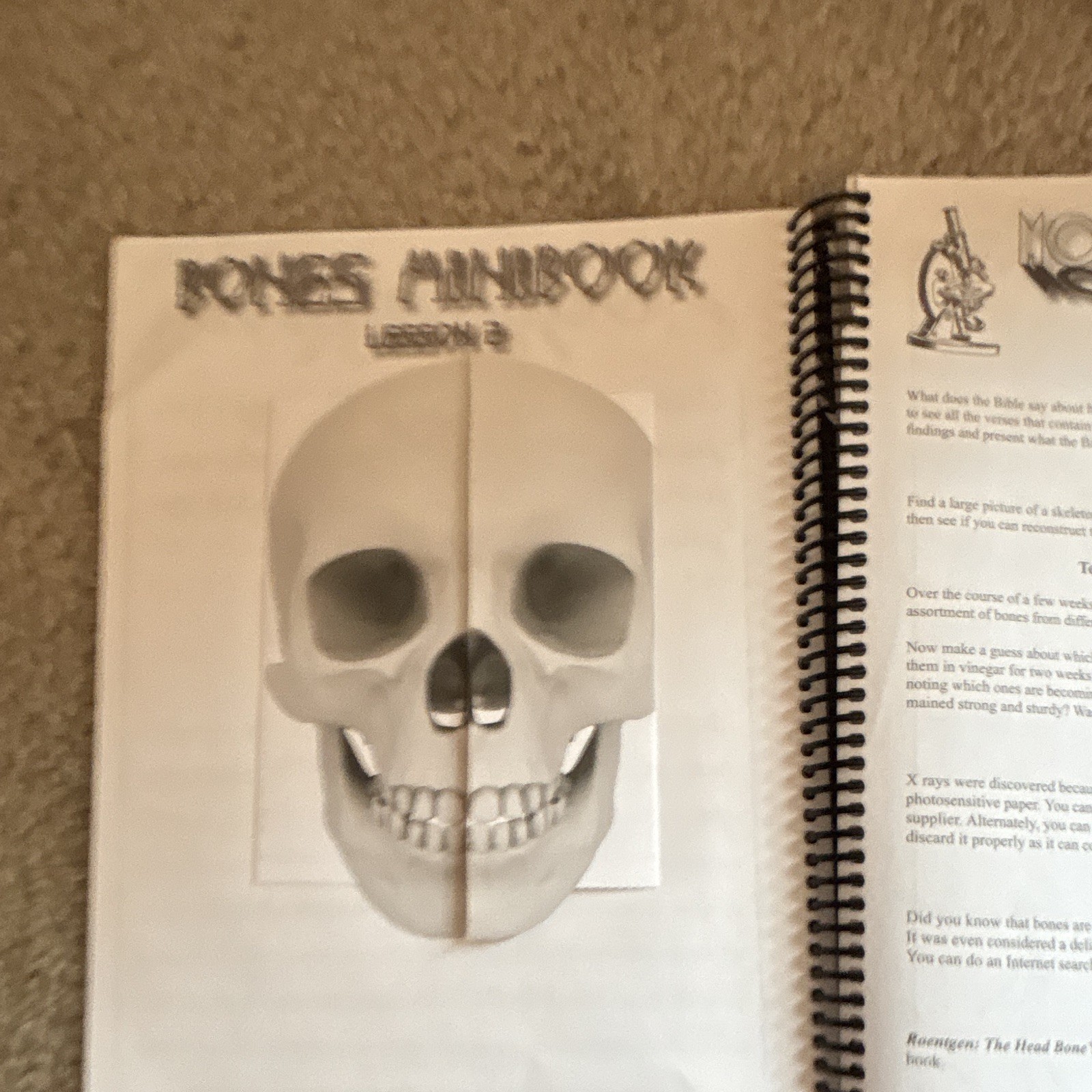 Apologia Science Exploring Creation Anatomy & Physiology Journal Spiral