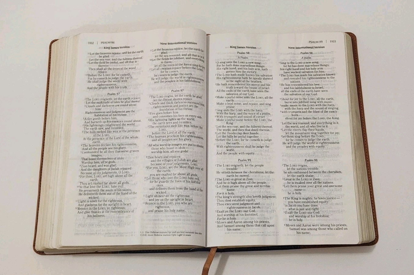 NIV, KJV, Parallel Bible, Large Print, Leathersoft, Navy/Tan.