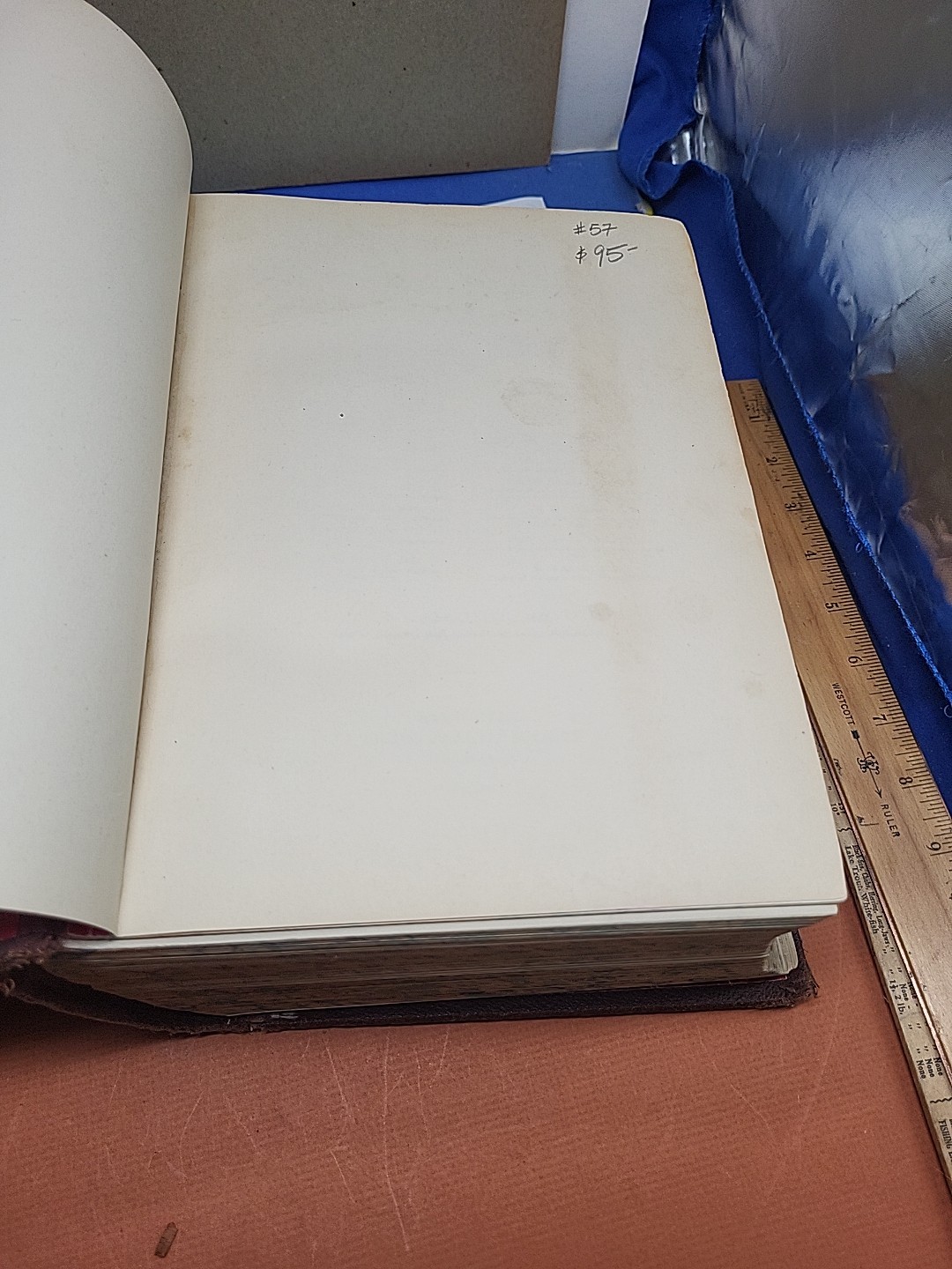1914 Health and Longevity 15 Books In 1 Vol. Medical Body Illustrations Medicine