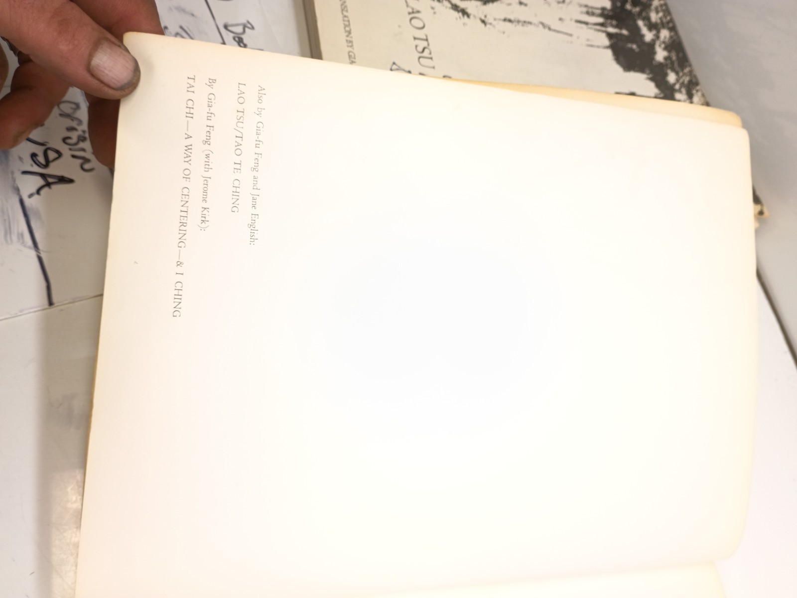 Chuang Tsu Inner Chapters Gia-Fu Feng Jane English Vintage Philosophy Book