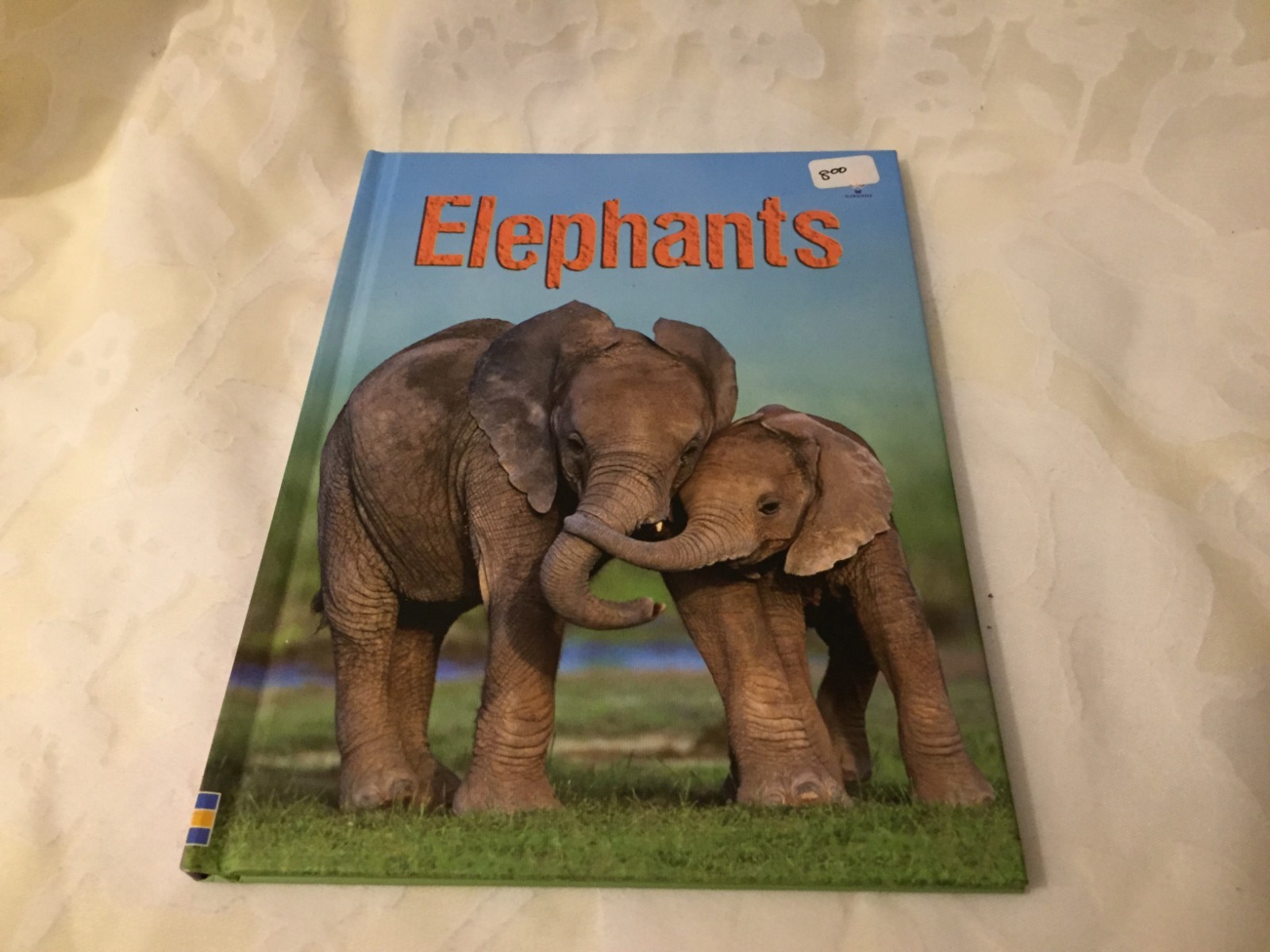 Usborne Beginners: Elephants IR by James Maclaine Hardback Brand NEW
