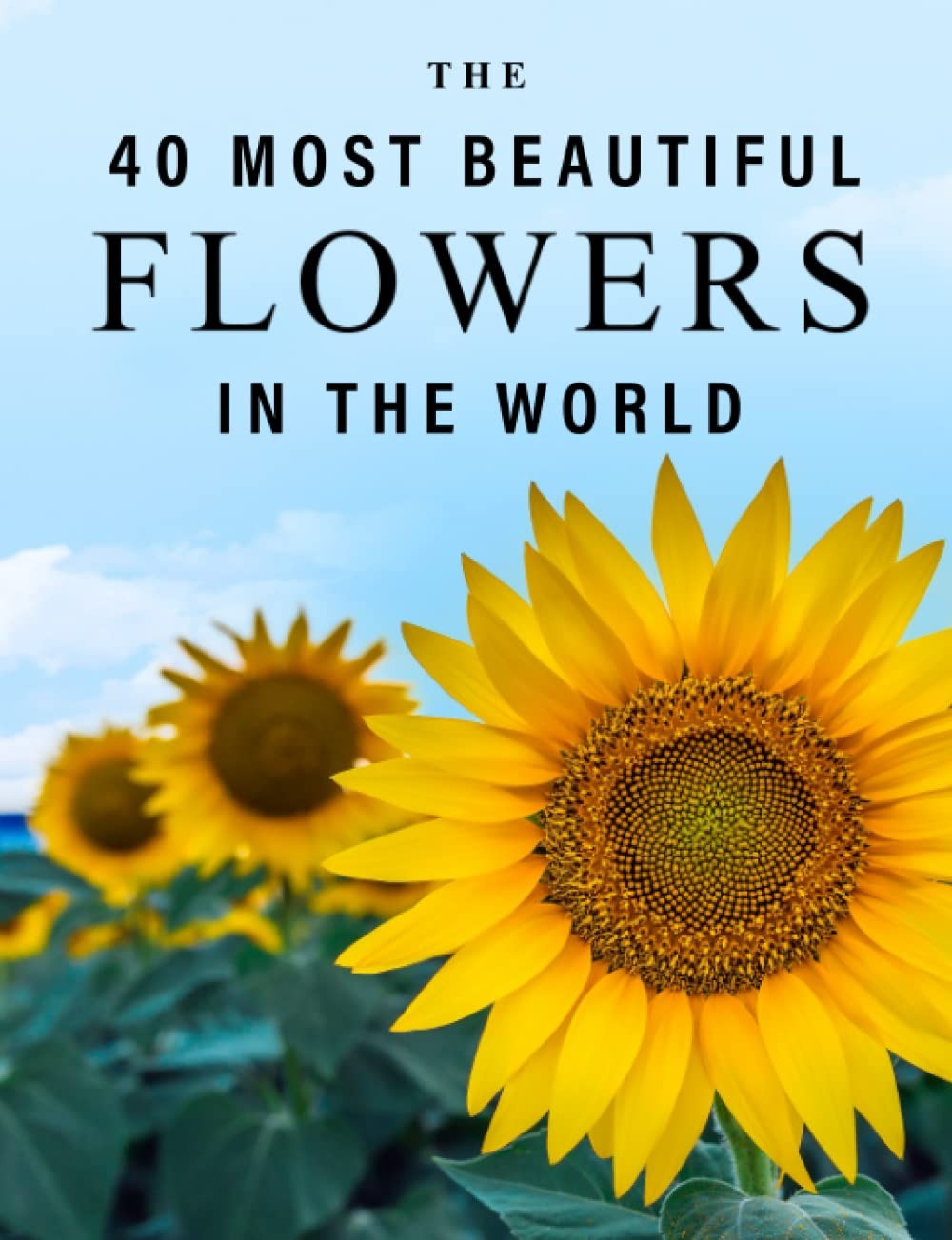 The 40 Most Beautiful Flowers in the World: A full color picture book for Se…