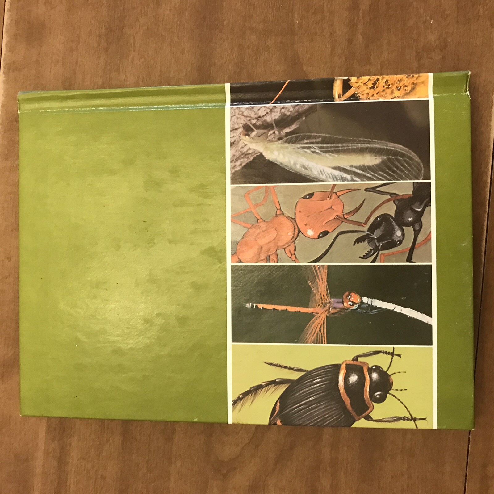 Childcraft Annual 1981: The Bug Book