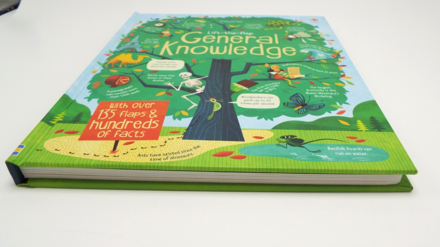 Usborne-Lift-the-Flap General Knowledge (See Inside) by James Maclaine HC LN