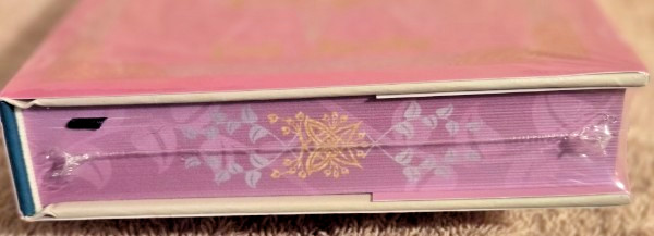 THE PRINCESS KNIGHT Cait Jacobs LitJoy Special Edition – SIGNED – Factory Sealed