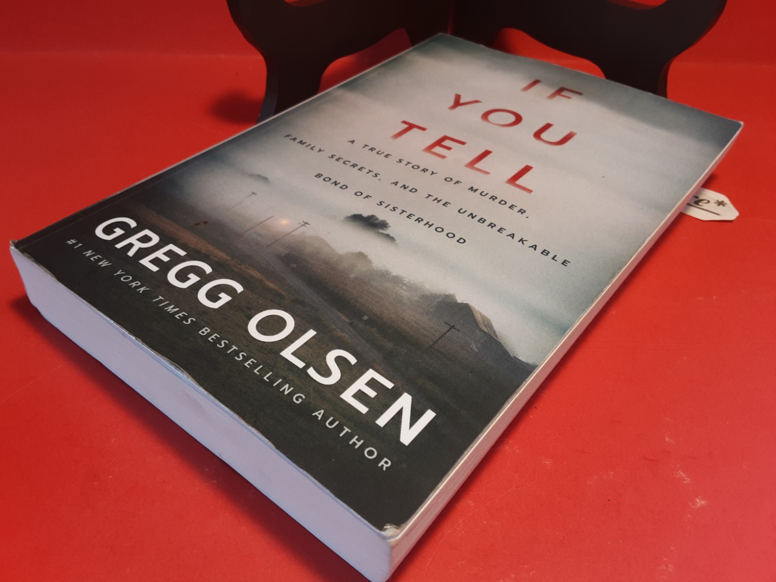 If You Tell a True Story Of Sisterhood Gregg Olsen 2019 Paperback VERY GOOD