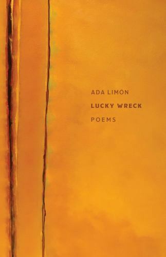Lucky Wreck (Autumn House Press Poetry Prize) by Limon, Ada