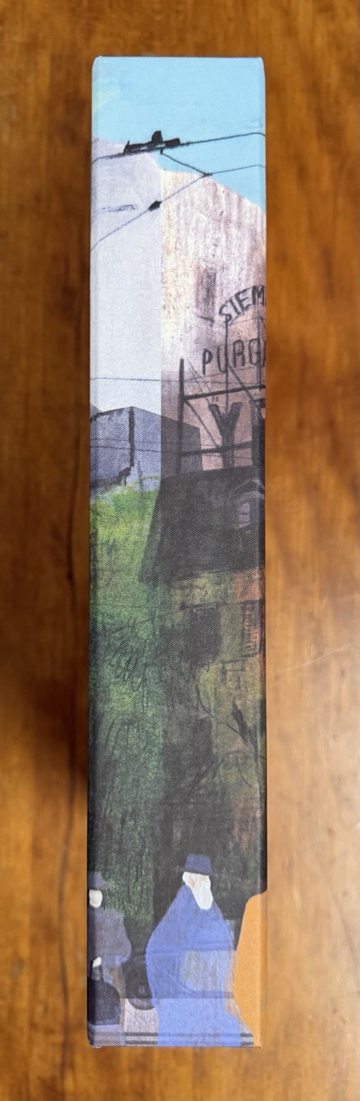 The Shadow of The Wind Carlos Ruiz Zafon Folio Society 1st Edition 1st Printing