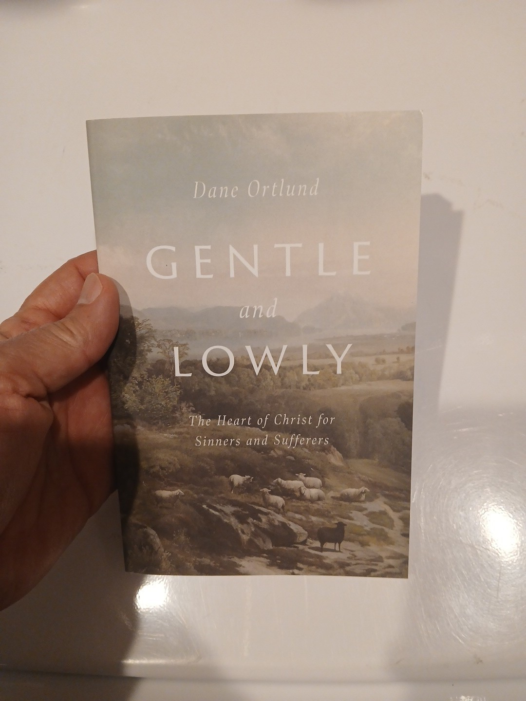 Book Gentle and Lowly : The Heart of Christ for Sinners and Sufferers