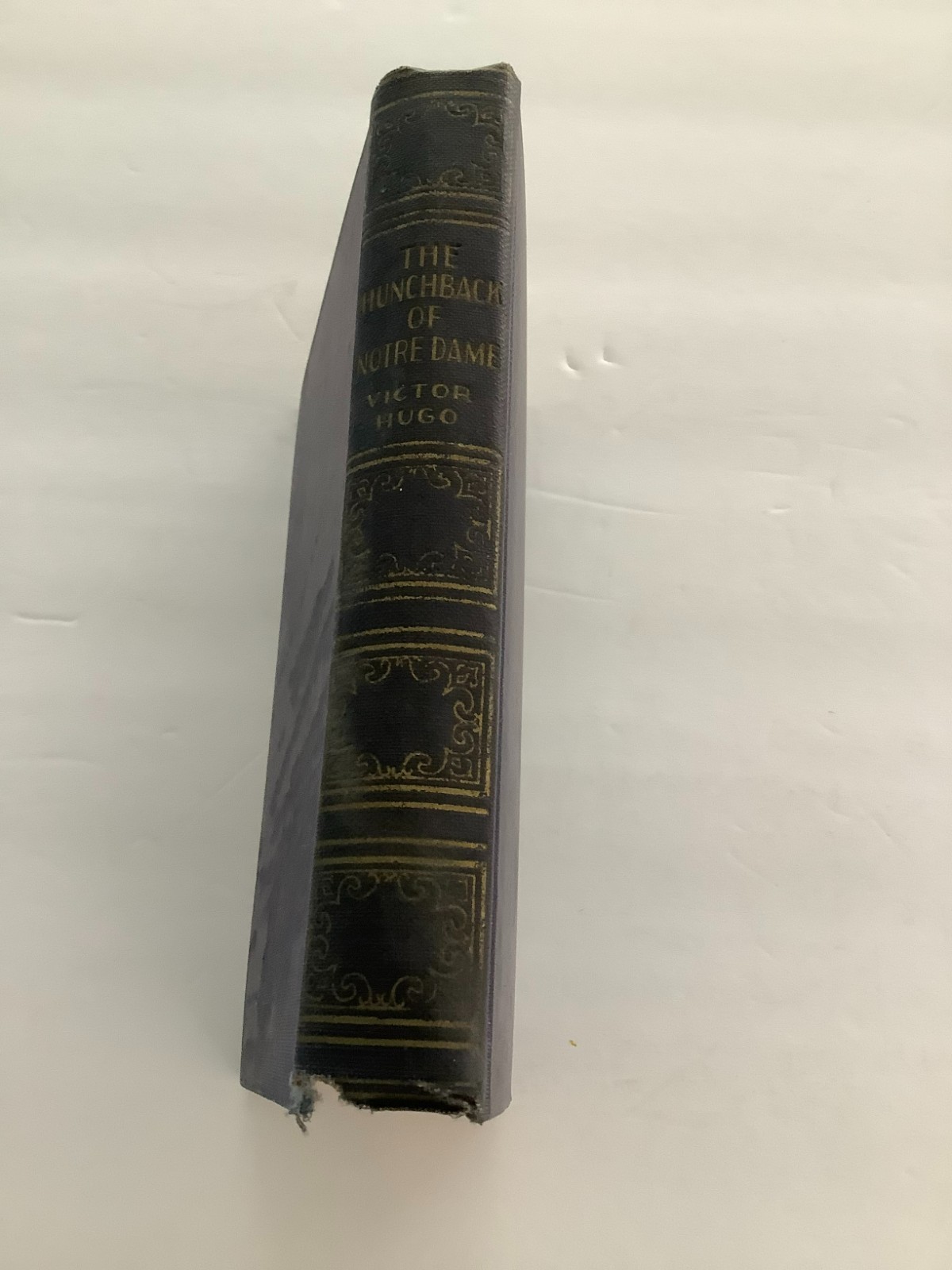 The Hunchback Of Notre Dame: By Victor Hugo. Books, Inc (360 pages)